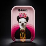 Rolling Tray M: Pets Rock Mexico Rolling Tray M: Pets Rock Mexico
